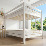Audreamy Kaveno Kids Mattress Latex-Pre-order Now – Dispatch by 30/06/2026