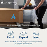 Audreamy Elara Mattress 25cm Pillow Top – Cloud Comfort Bamboo Fiber Fabric Memory Foam Support Bonnell Medium Firm-Pre-Order Now – Ships by 22/10/2025 at the latest!