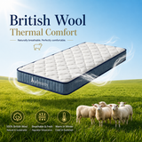 Audreamy Kaveno Kids Mattress Cool Gel-Pre-order Now – Dispatch by 30/06/2026