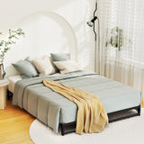 Artiss Bed Frame Queen Size Metal BERU