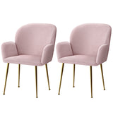 Artiss Dining Chairs Set of 2 Velvet Armchair Pink