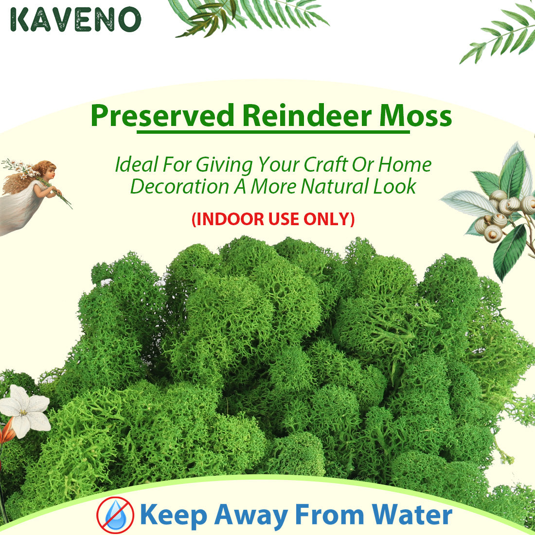 Kaveno Moss Preserved Green Moss