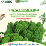 Kaveno Moss Preserved 3 OZ