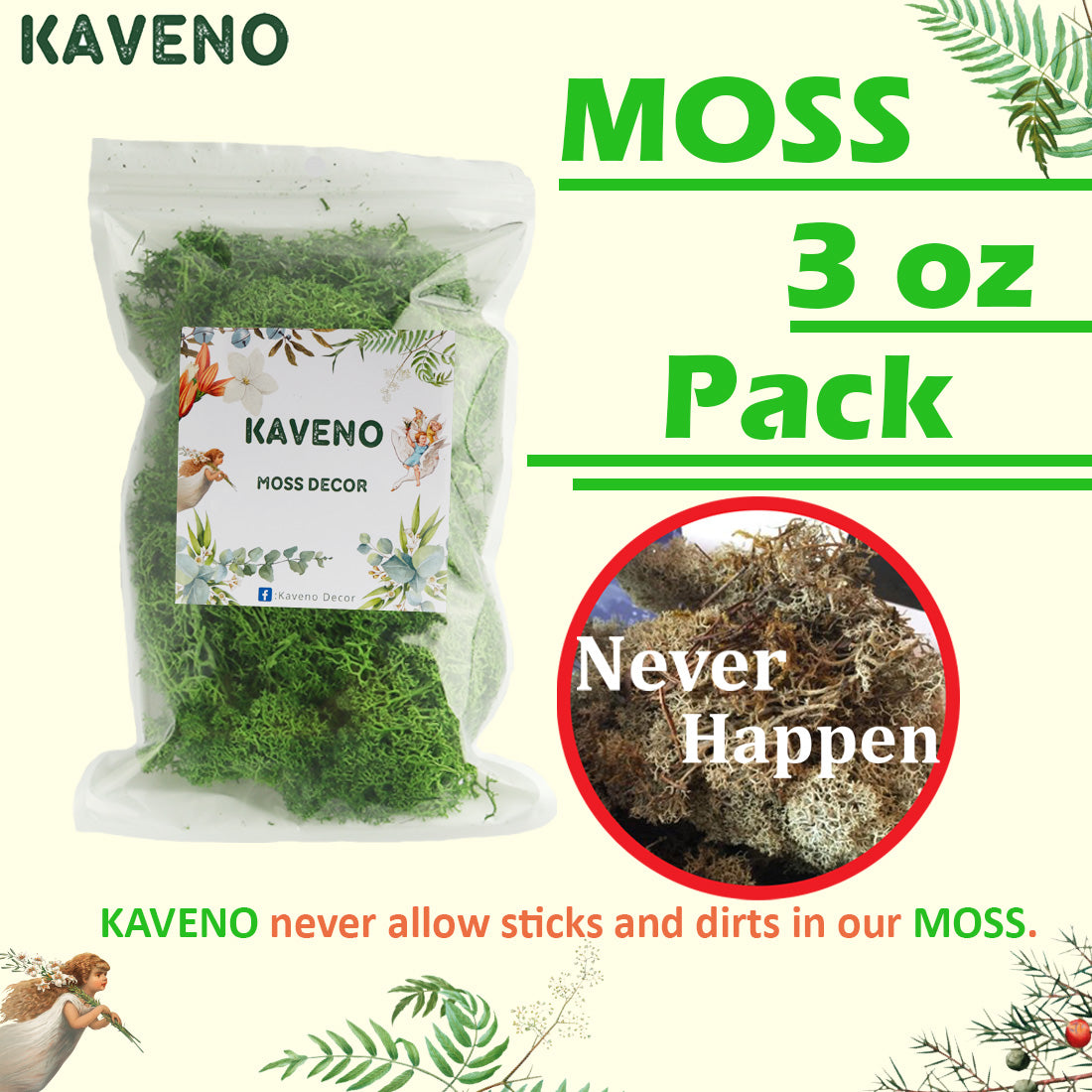 Kaveno Moss Preserved Green Moss