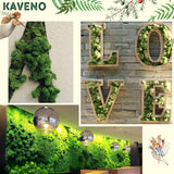 Kaveno Moss Preserved 3 OZ